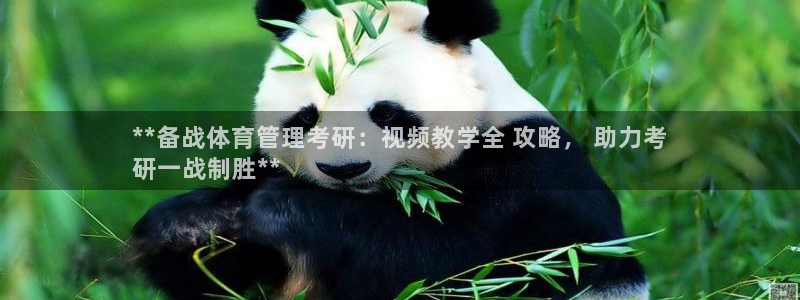 必一运动·(b-sp