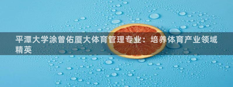必一体育电子app：