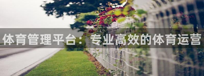 必一体育下载移动版：体育管理平台：专业高效的体育运营
