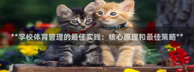 必一运动体育官网：*