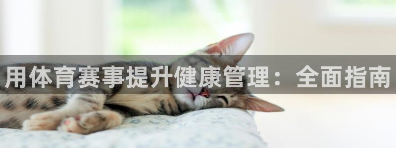 必一体育bsport