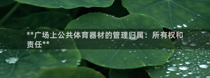 必一运动听的歌：**