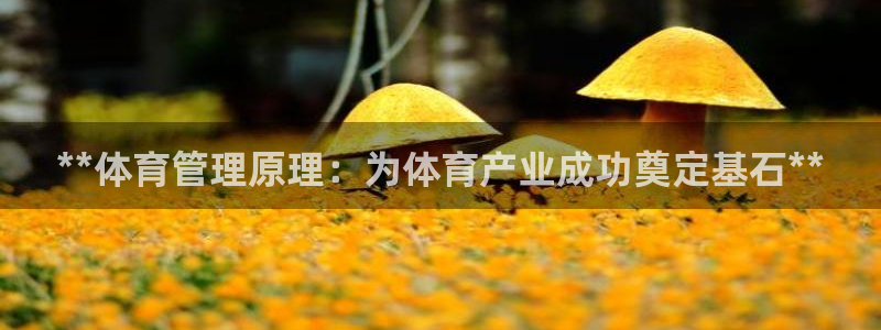 必一运动tieba.