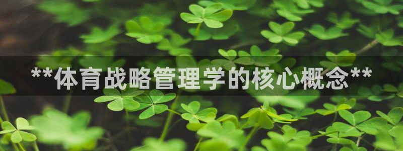 必一体育秀给网：**