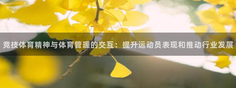 必一体育运动app：