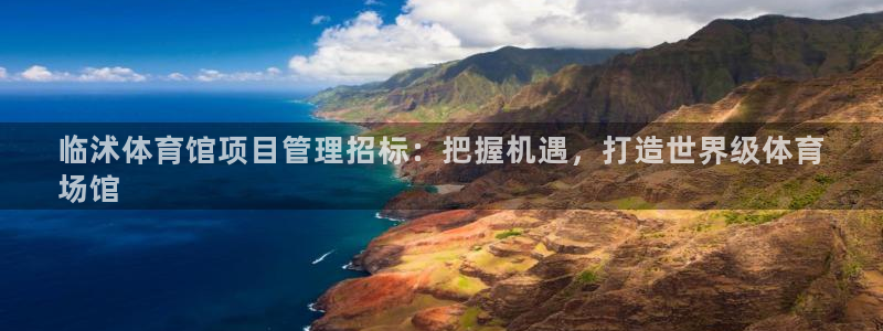 必一体育网站：临沭体
