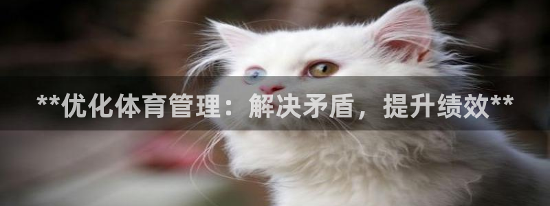 必一体育官网网址：*