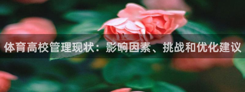 必一体育周公：体育高