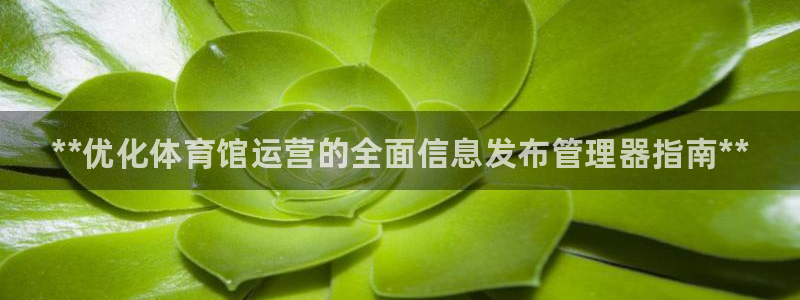 必一体育APP下载安