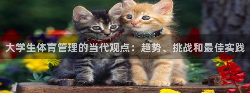 必一体育手机下载：大
