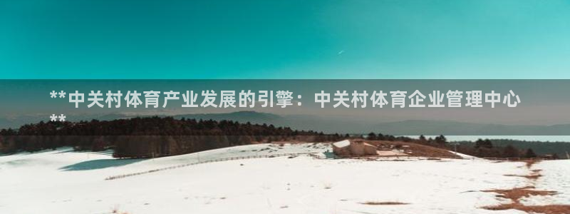必一体育：**中关村体育产业发展的引擎：中关村体育企业管理中