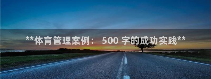 必一体育sport：**体育管理案例： 500 字的成功实践
