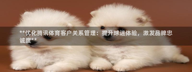 必一体育sport官