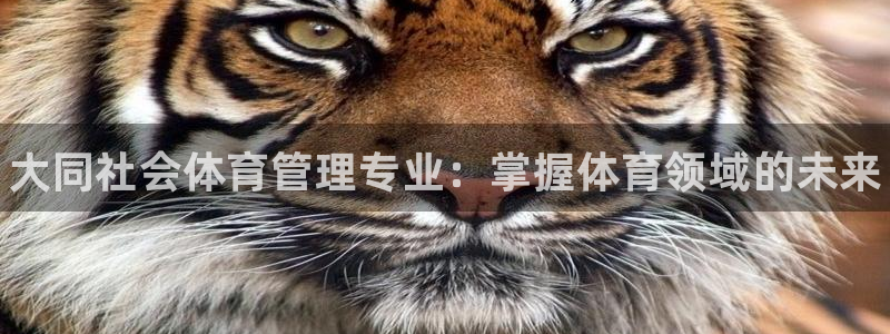 必一体育bsport