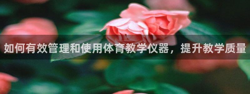 必一体育游戏特色：如