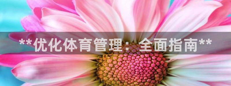 必一体育官网ios下