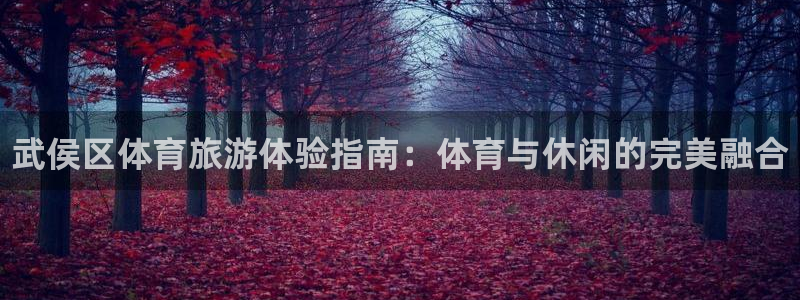 必一体育在线官网：武