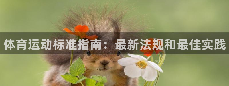 必一体育秀给网：体育