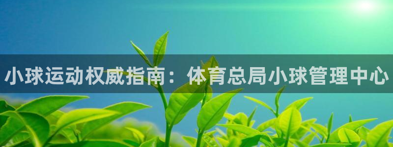 必一体育在线登陆：小球运动权威指南：体育总局小球管理中心
