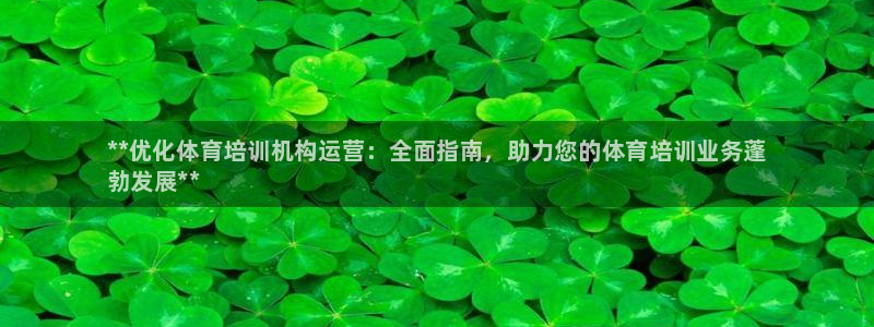 必一体育官方网站入口