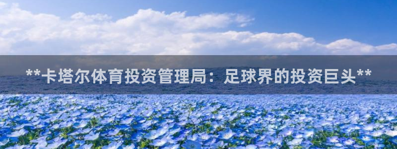 必一体育在线下载：*