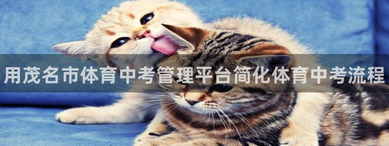 b体育必一运动网页版在线登录入口：用茂名市体育中考管理平台简