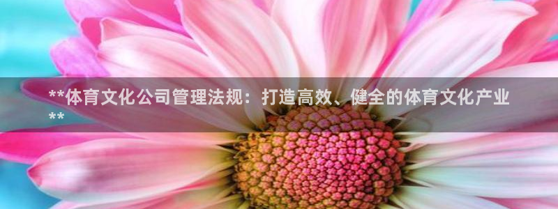 必一体育网页登陆：**体育文化公司管理法规：打造高效、健全的