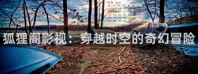 超清蓝光电影：狐狸阁影视：穿越时空的奇幻冒险