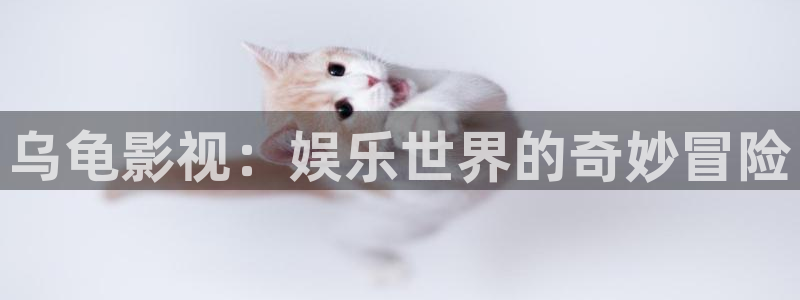 影视工场蓝光：乌龟影视：娱乐世界的奇妙冒险