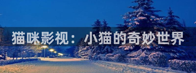 蓝光家庭影院