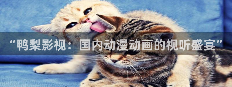 蓝光高清电影播放器好