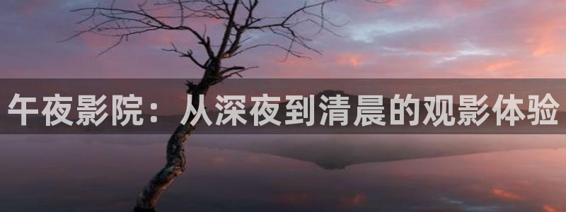 ps5能看4k蓝光电影吗