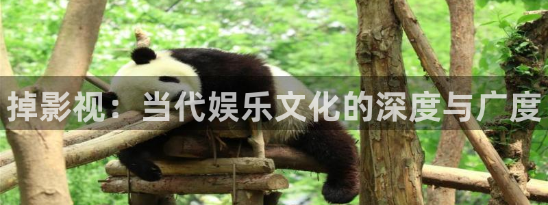 电影蓝光是什么意思
